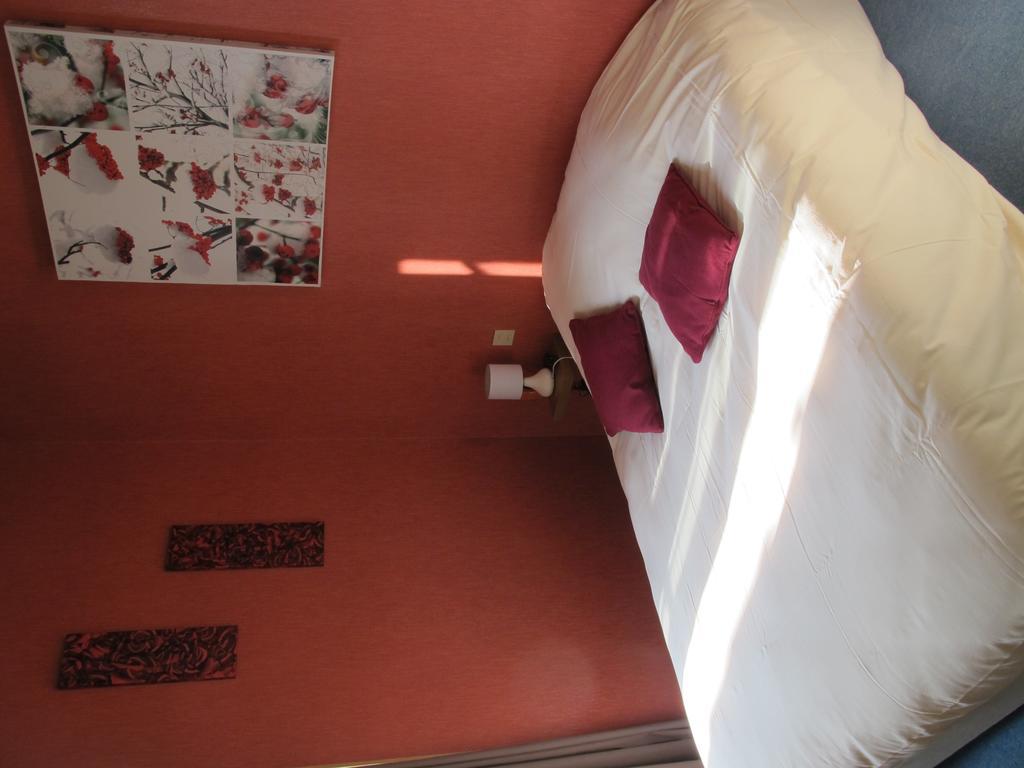Le Relais De La Caleche Hotel Saint-Denis-d'Anjou Luaran gambar