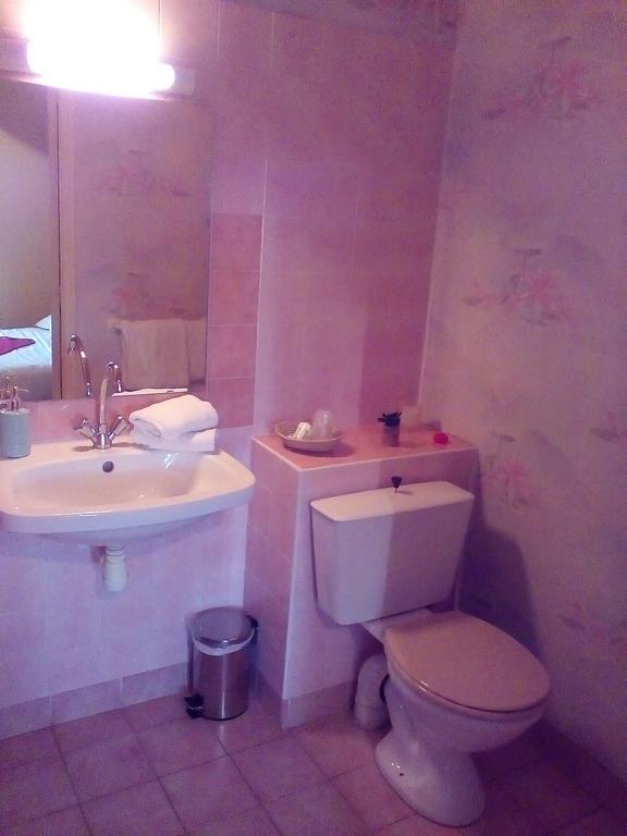 Le Relais De La Caleche Hotel Saint-Denis-d'Anjou Luaran gambar